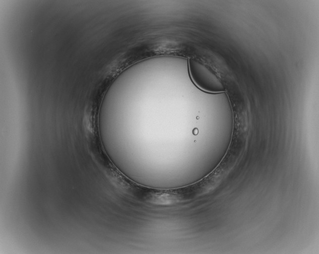 X0000112840755200908281551