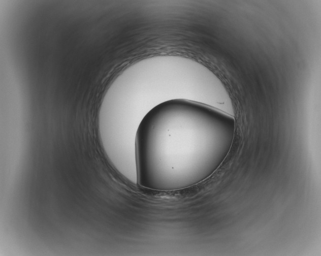 X0000112840756200908281551