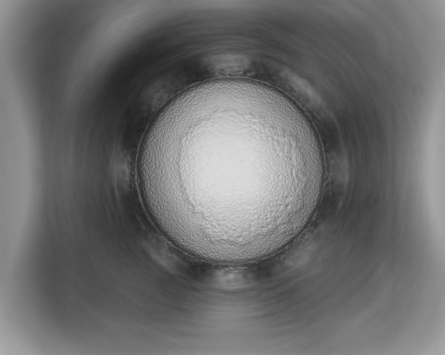 X0000112840761200908281551