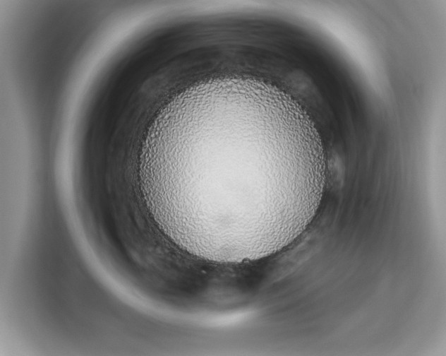 X0000112840765200908281551