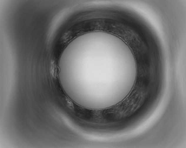 X0000112840766200908281551