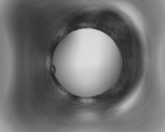 X0000112840767200908281551