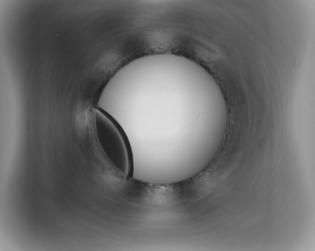 X0000112840768200908281551