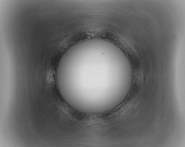 X0000112840770200908281551