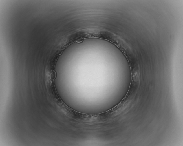 X0000112840772200908281551