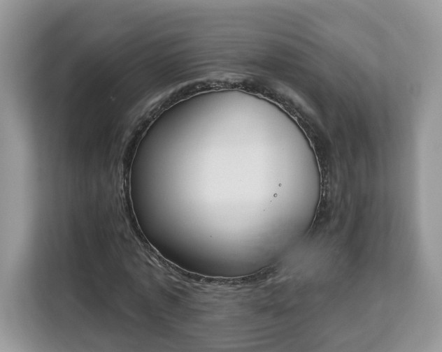 X0000112840773200908281551