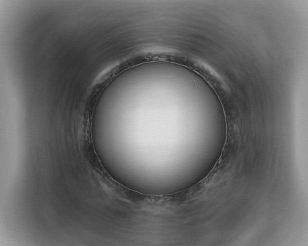 X0000112840775200908281551