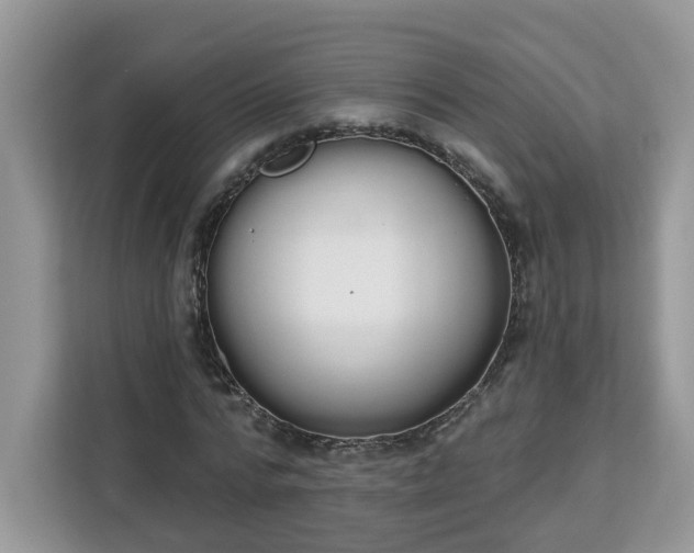 X0000112840776200908281551