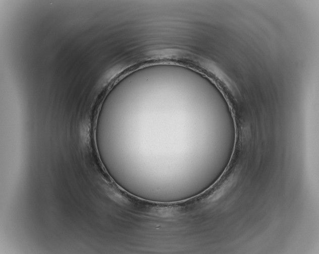 X0000112840778200908281551