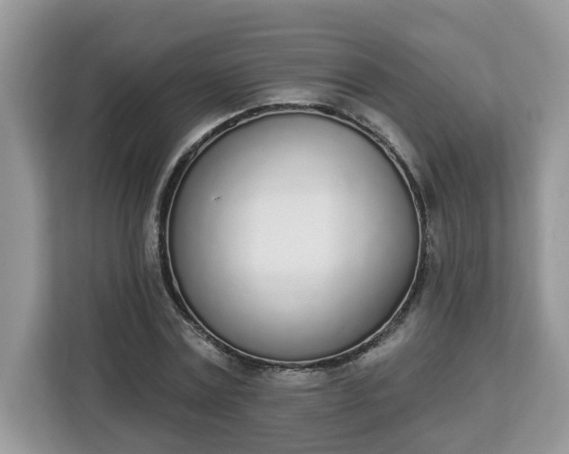 X0000112840779200908281551