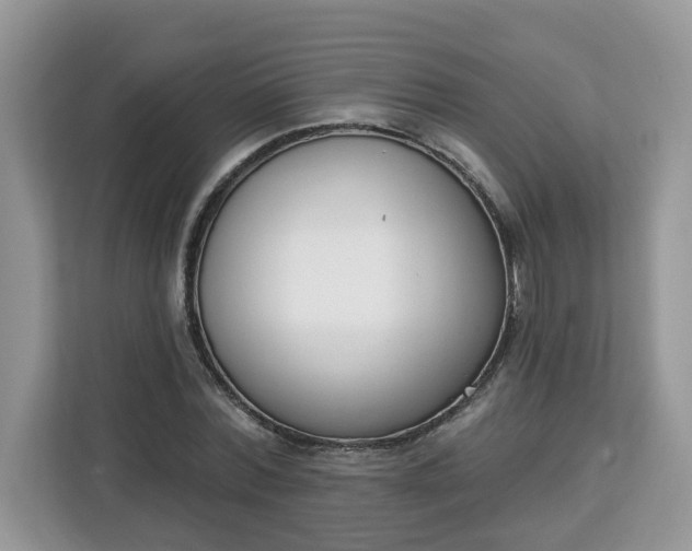 X0000112840780200908281551