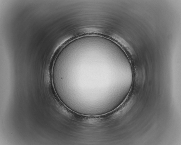 X0000112840782200908281551