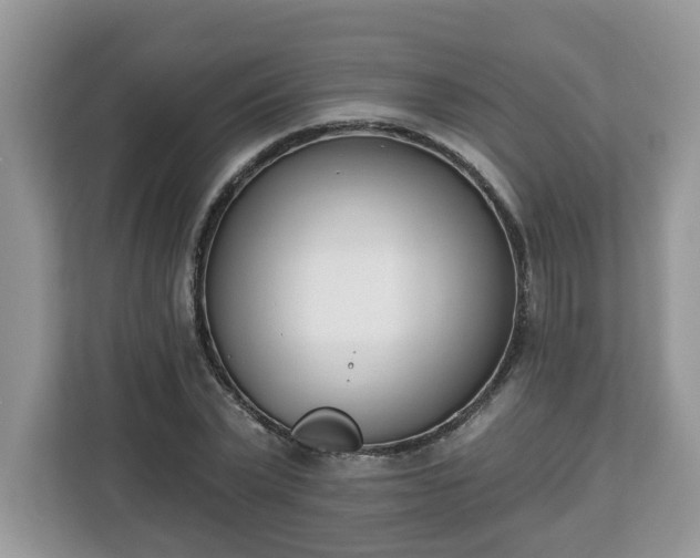 X0000112840783200908281551