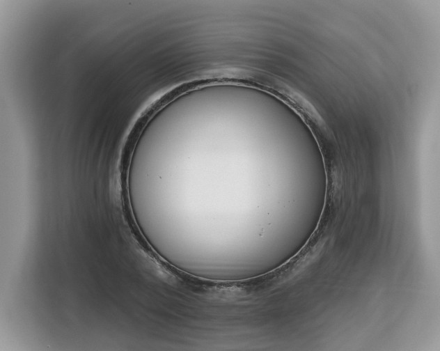 X0000112840784200908281551