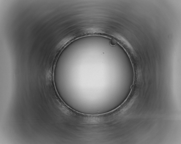 X0000112840785200908281551