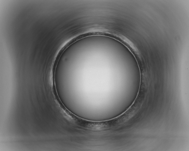 X0000112840791200908281551