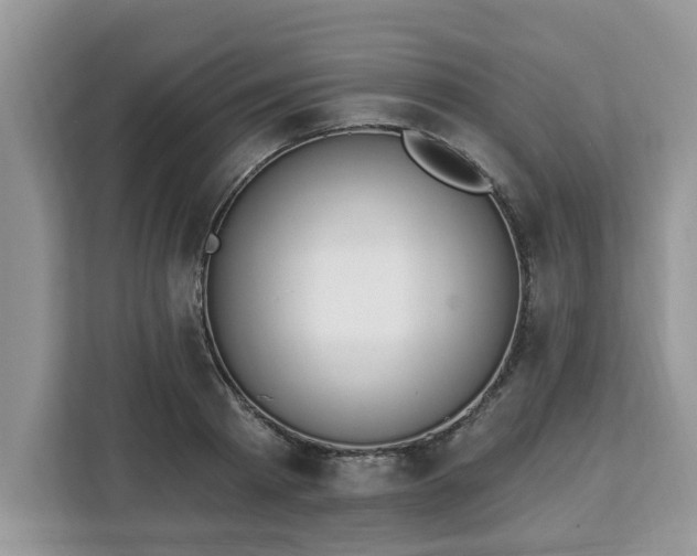 X0000112840793200908281551