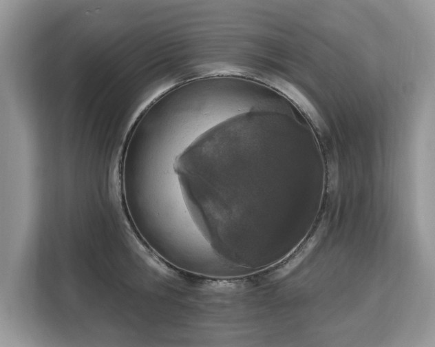 X0000112840806200908281550