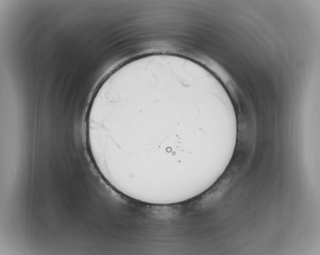 X0000112840807200908281550