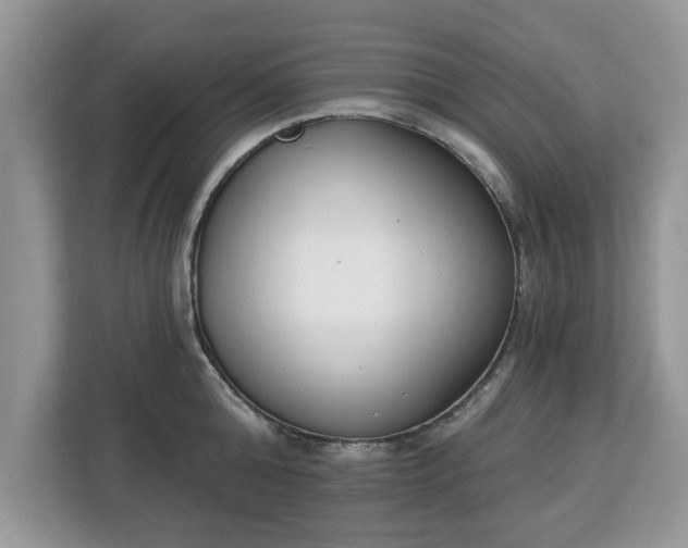 X0000112840808200908281550