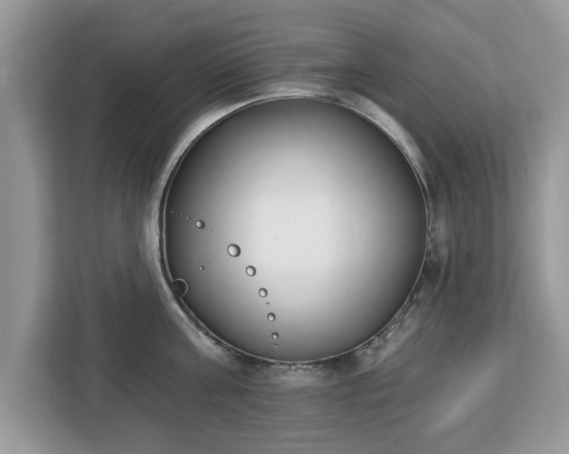 X0000112840811200908281550