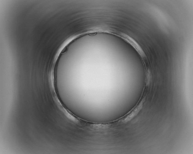 X0000112840812200908281550