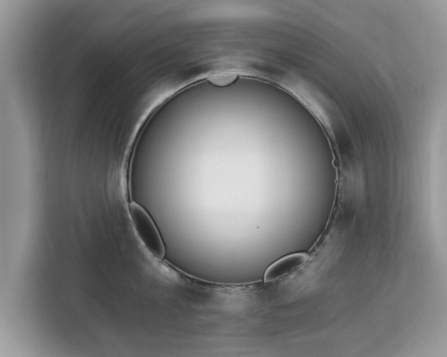 X0000112840813200908281550