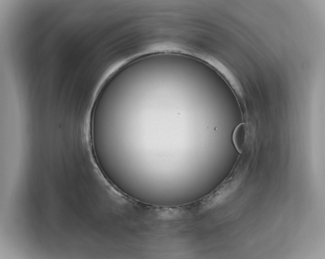 X0000112840815200908281550