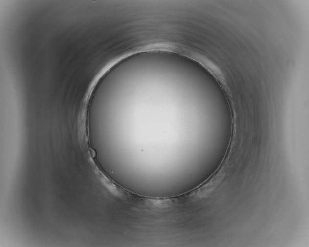 X0000112840816200908281550