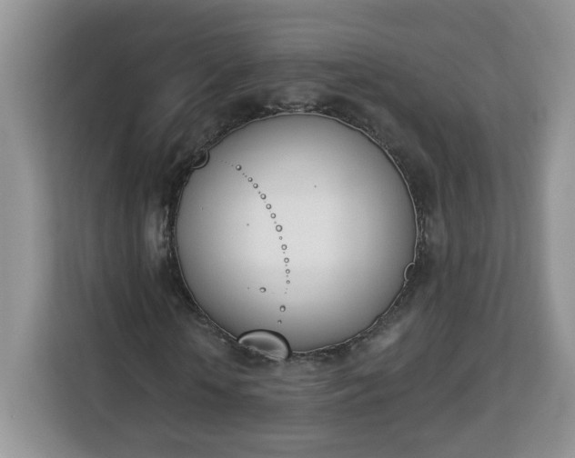 X0000112840818200908281550