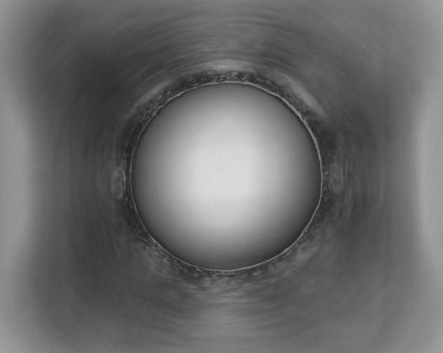 X0000112840821200908281550