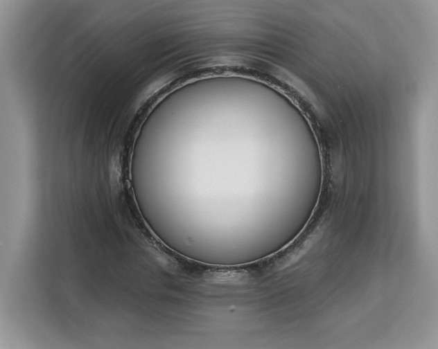 X0000112840826200908281550