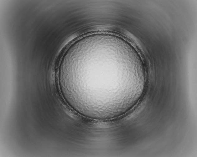 X0000112840827200908281550