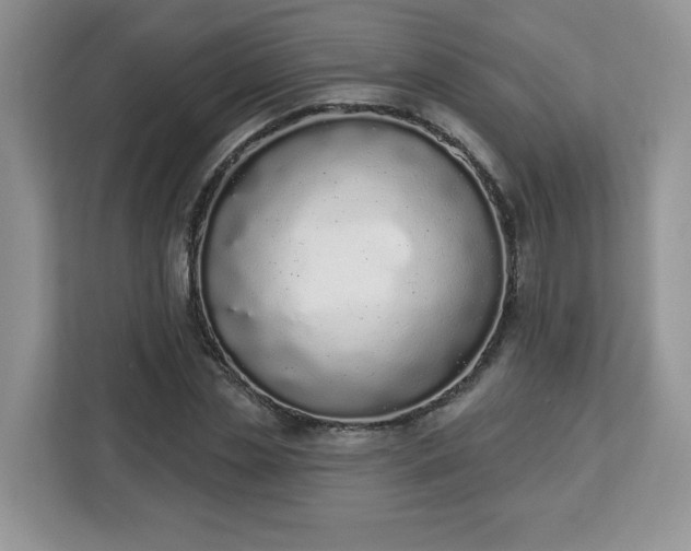 X0000112840829200908281550