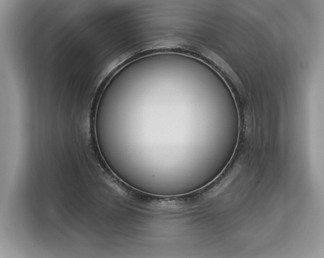 X0000112840834200908281550