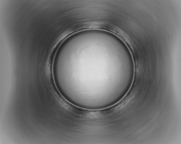 X0000112840835200908281550