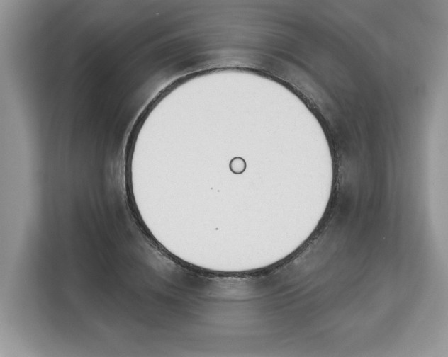 X0000112840836200908281550