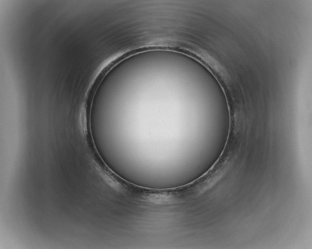 X0000112840838200908281550