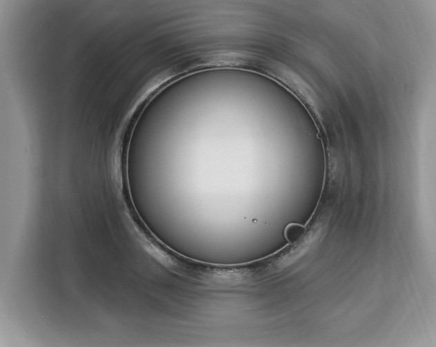 X0000112840843200908281550