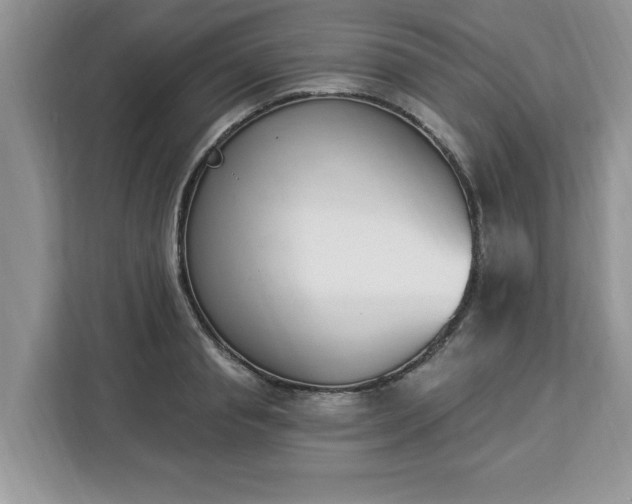 X0000112840845200908281550