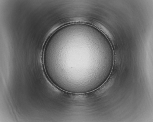 X0000112840847200908281550