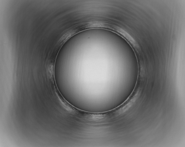 X0000112840849200908281550