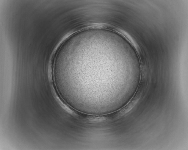 X0000112840851200908281550