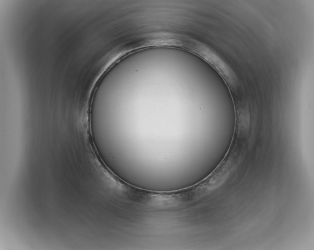 X0000112840852200908281550