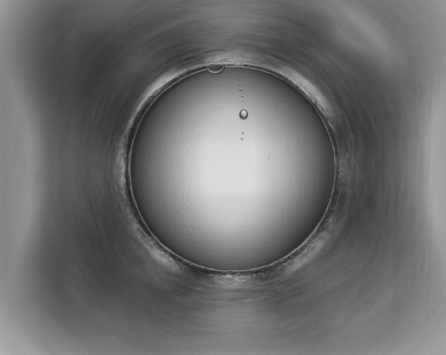 X0000112840854200908281550