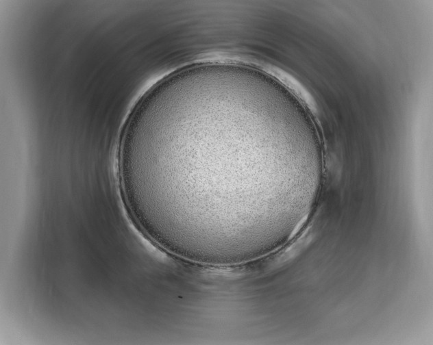 X0000112840855200908281550