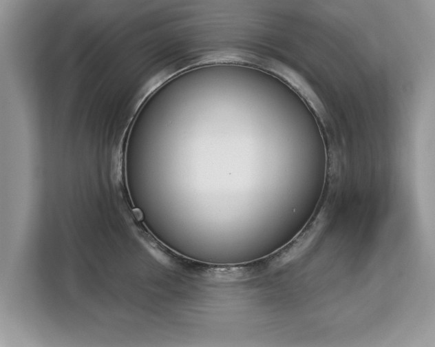 X0000112840858200908281550