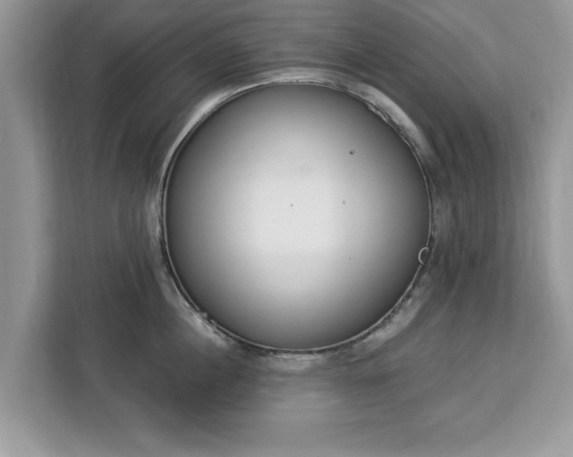 X0000112840860200908281550