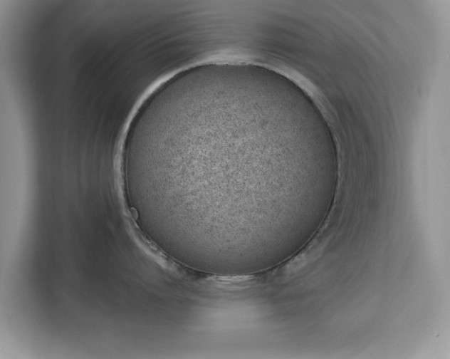 X0000112840864200908281550