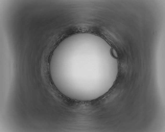 X0000112840865200908281550